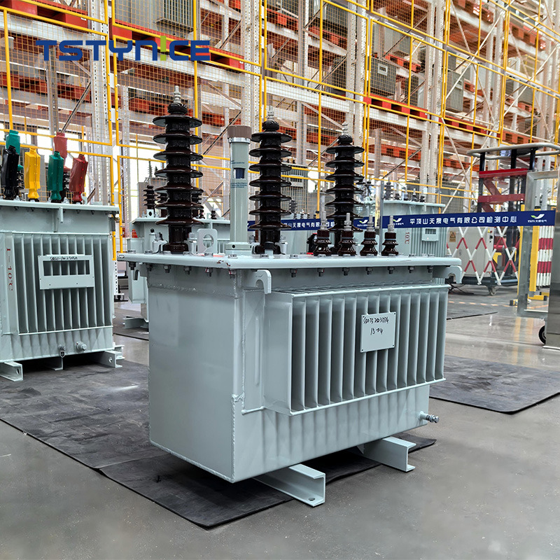 Transformador de potencia sumergido en aceite TSTYNICE de 15 kv