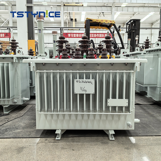 TSTYNICE 10kv transformator de putere cu scufundare &icirc;n ulei