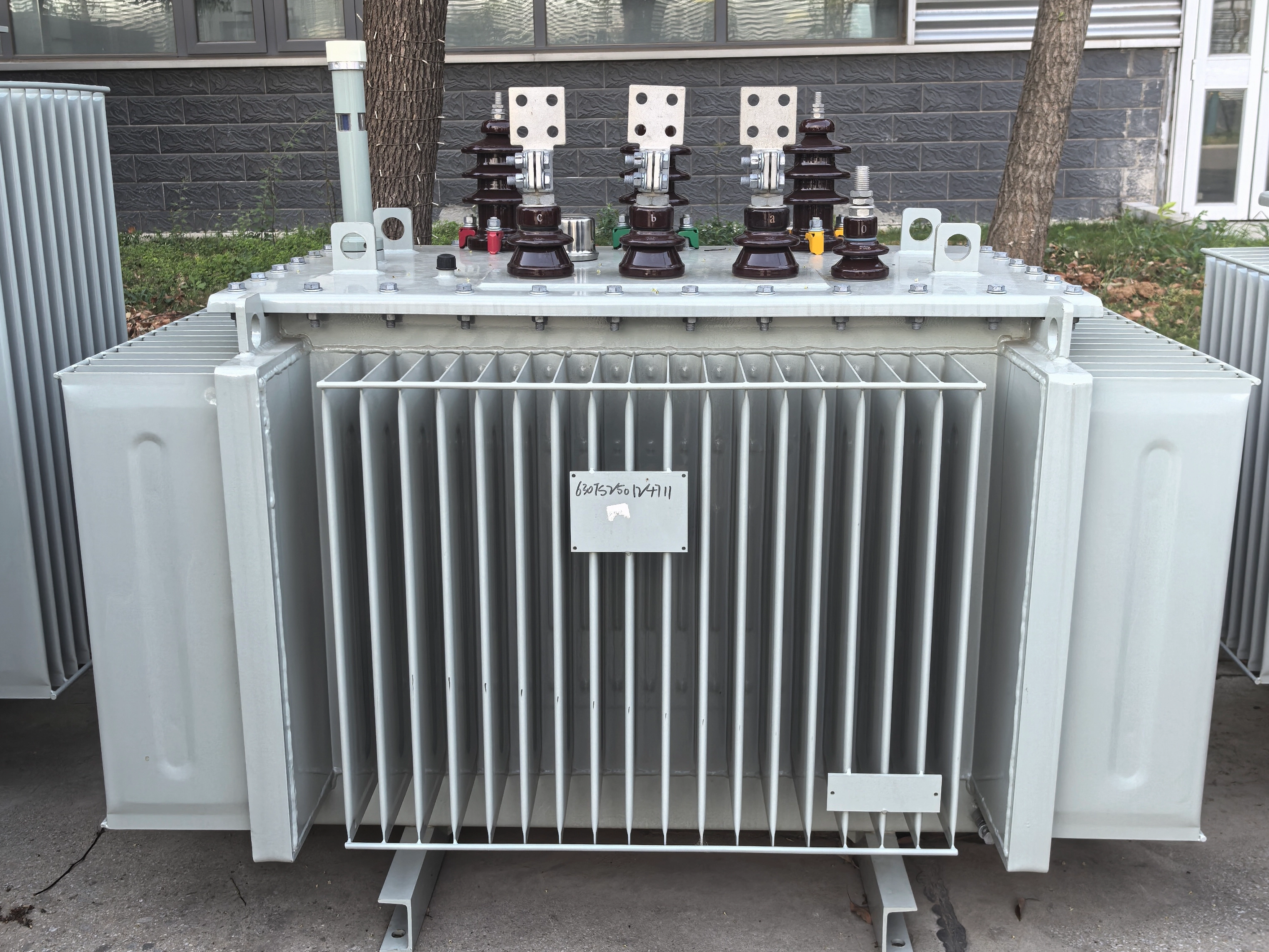 فنزويلا – مشروع محول Sumergible Trif&aacute;sico بقدرة 300 كيلو فولت أمبير للتطبيقات الخاصة