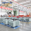 Transformador de potencia sumergido en aceite TSTYNICE de 15 kv
