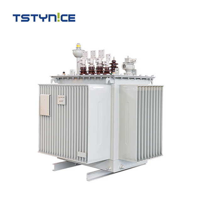 TSTYNICE 22 kv transformator de putere immers &icirc;n ulei