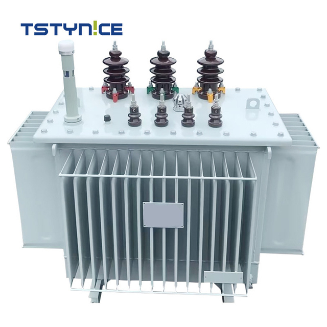 TSTY 10kv 11kv transformator de putere immers &icirc;n ulei