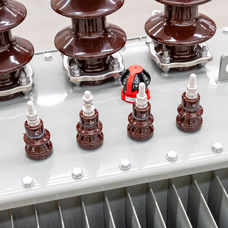 Transformador de potencia sumergido en aceite TSTYNICE
